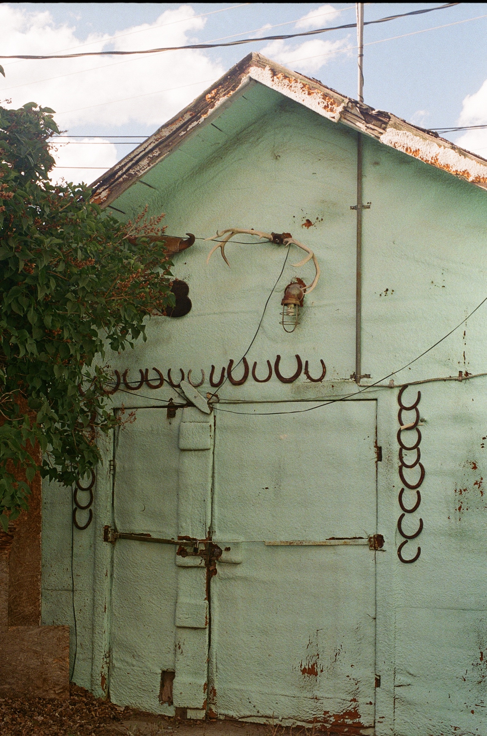Untitled photograph from Wyoming, June 2026