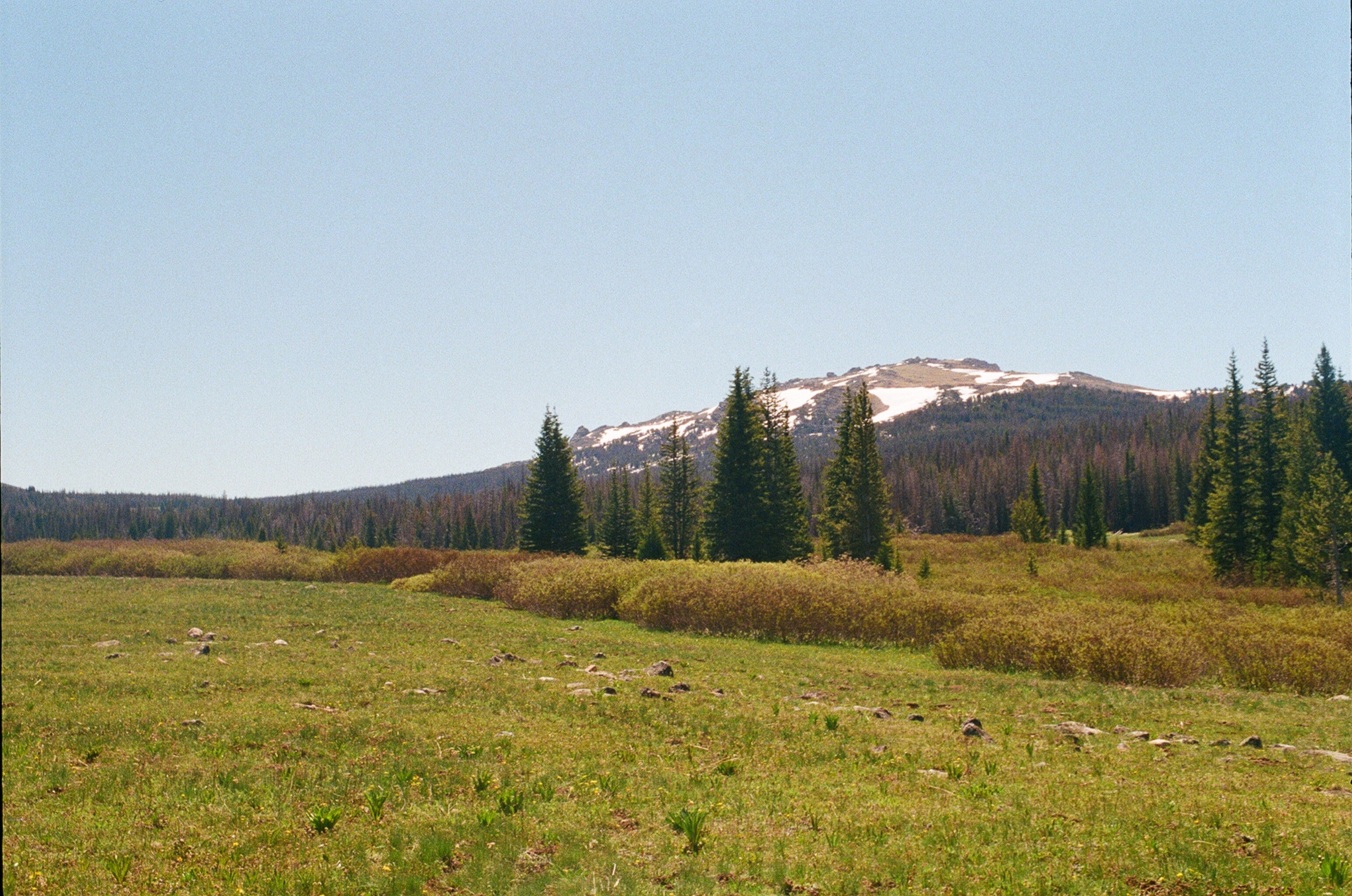 Untitled photograph from Wyoming, June 2026