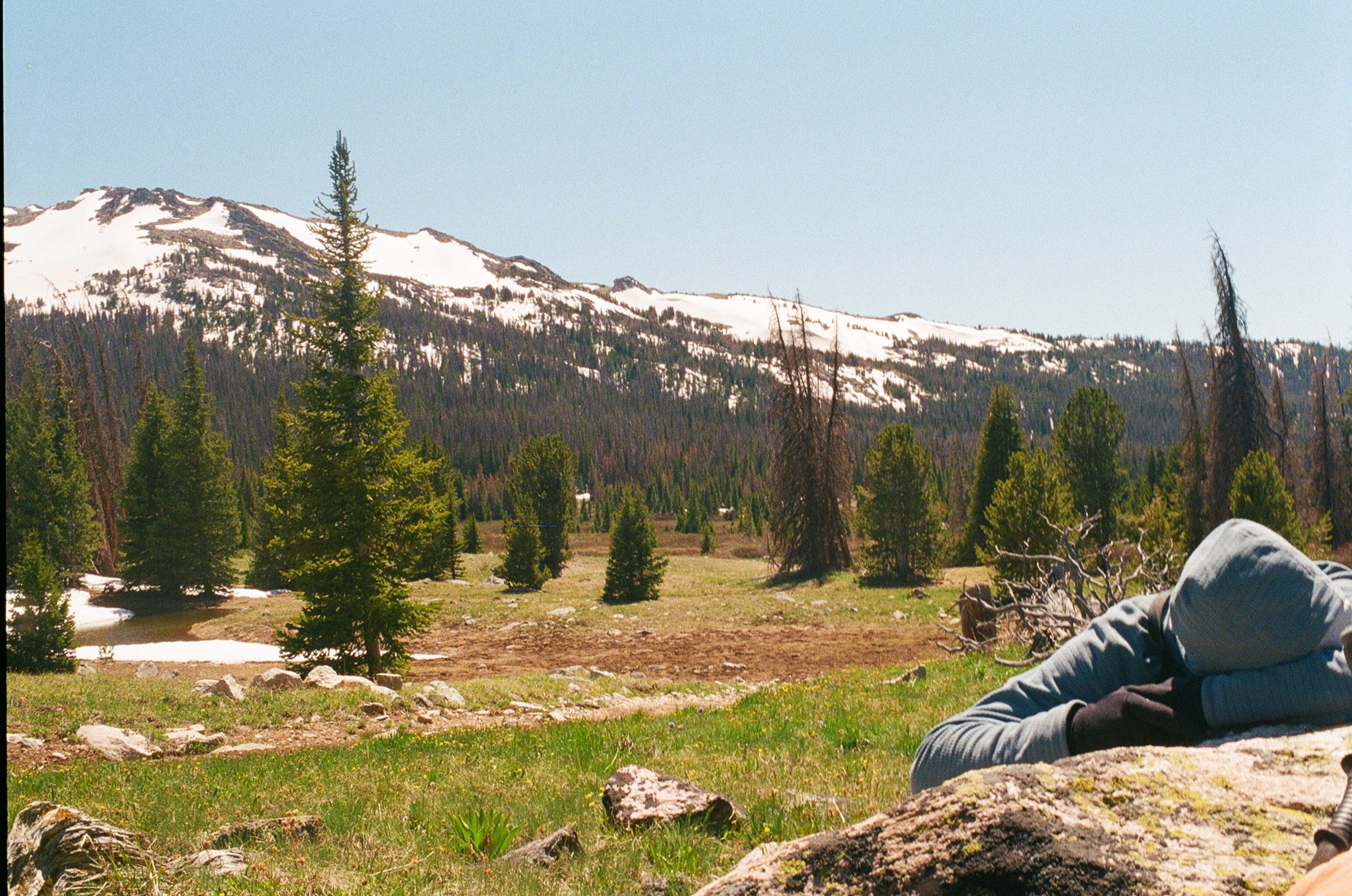 Untitled photograph from Wyoming, June 2026