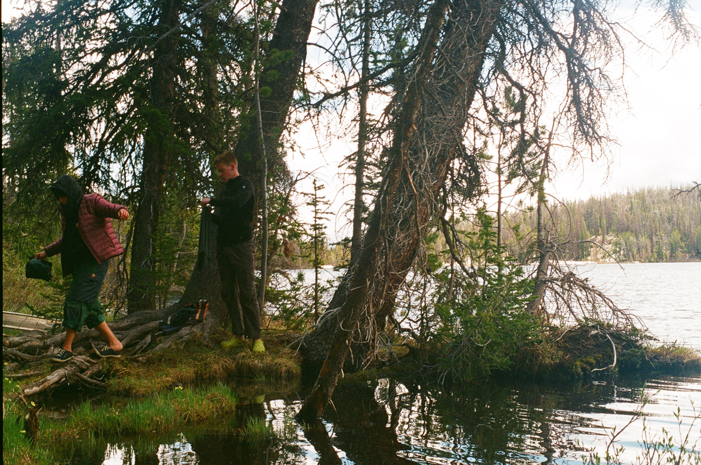 Untitled photograph from Wyoming, June 2026