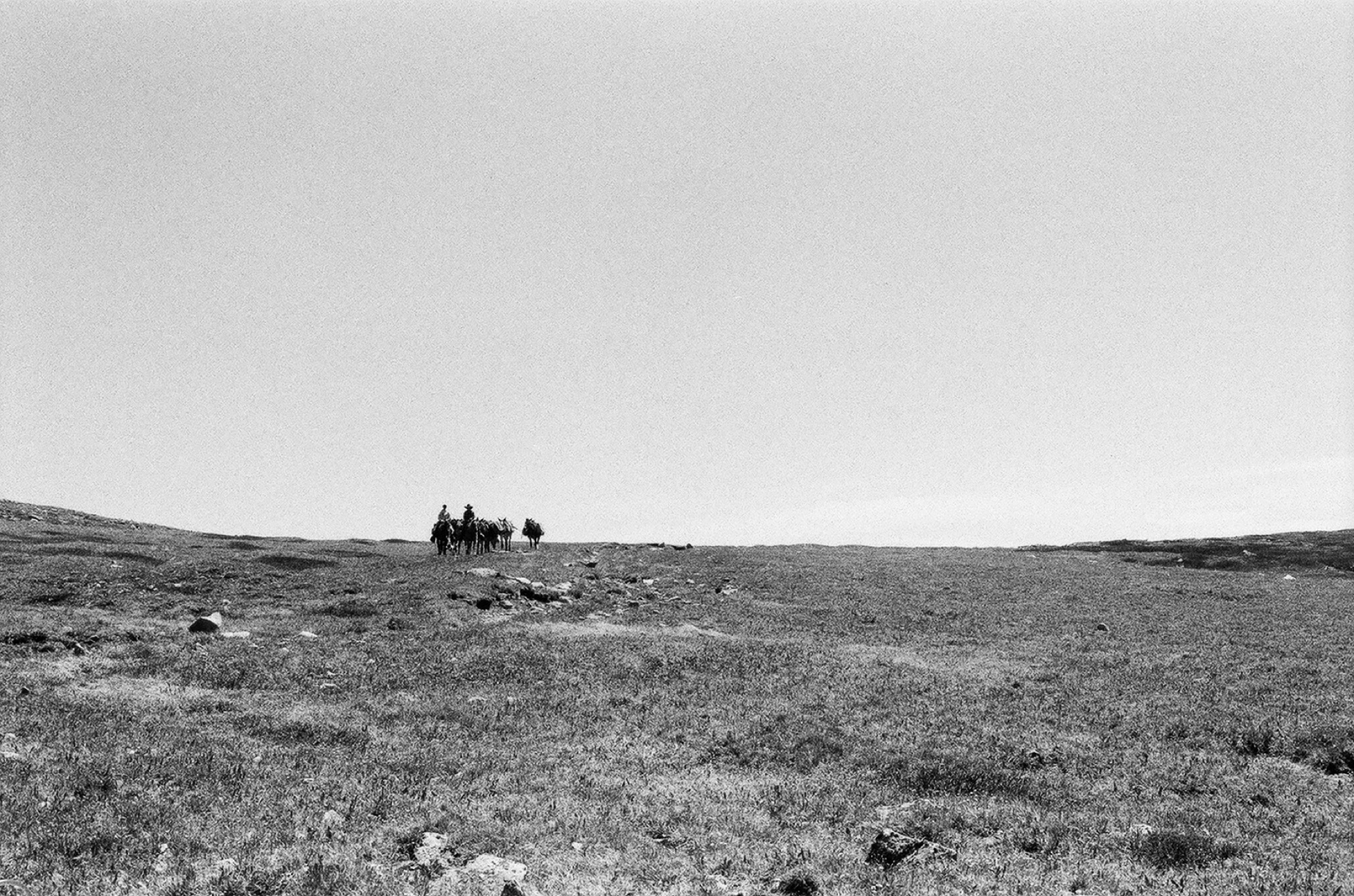 Untitled photograph from Wyoming, June 2026
