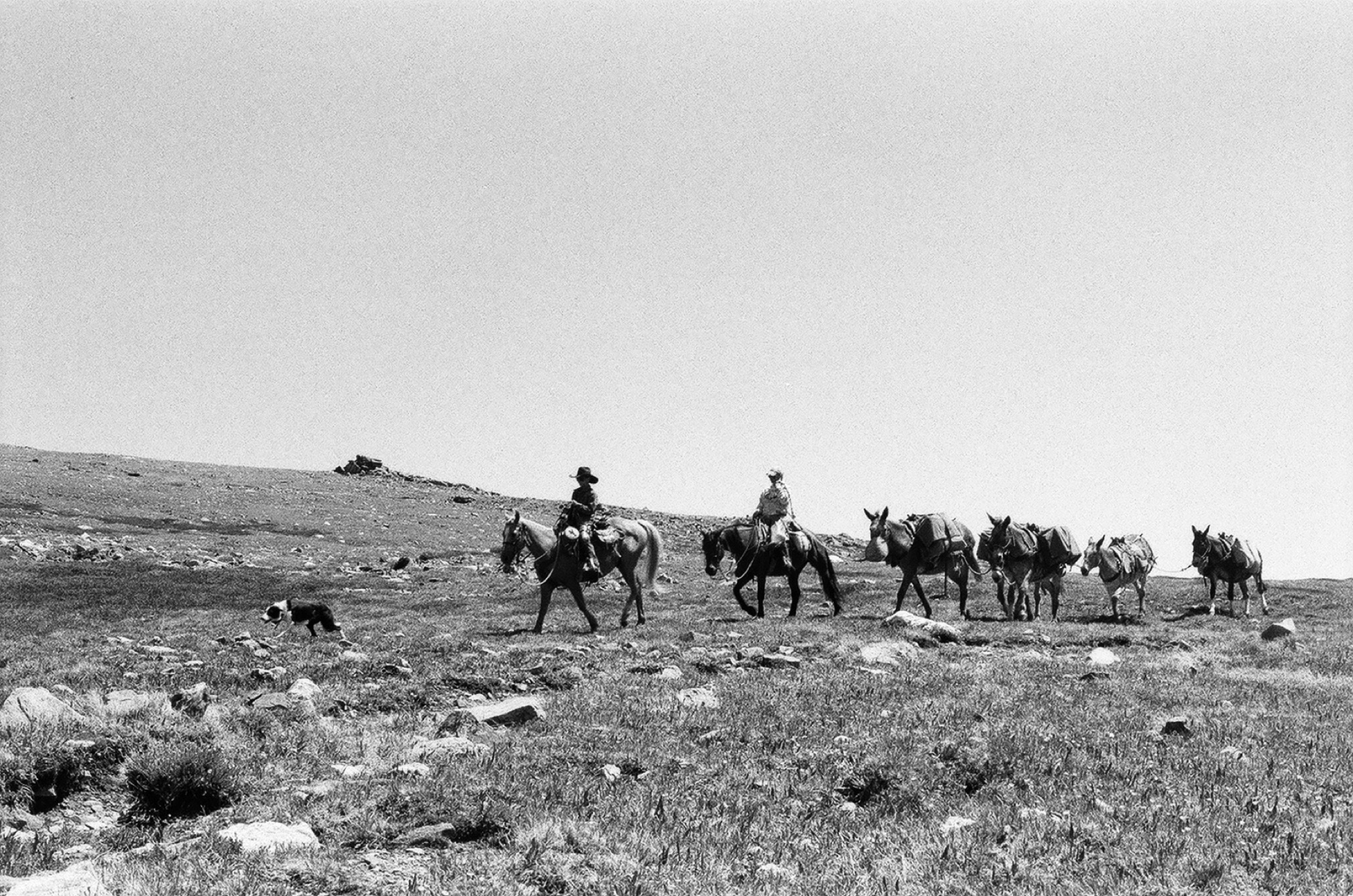 Untitled photograph from Wyoming, June 2026