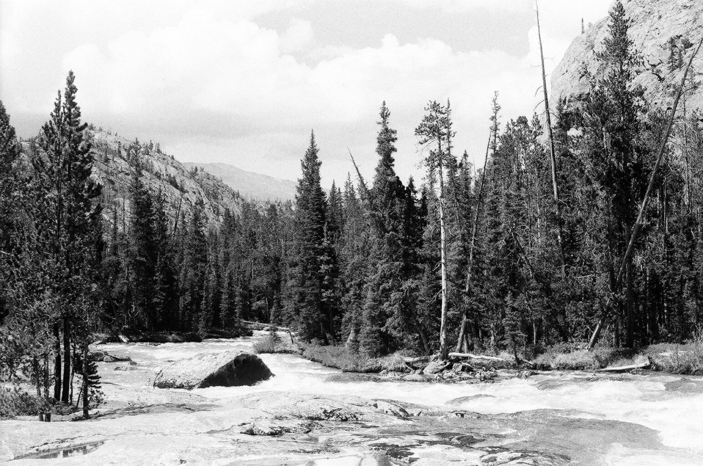 Untitled photograph from Wyoming, June 2026