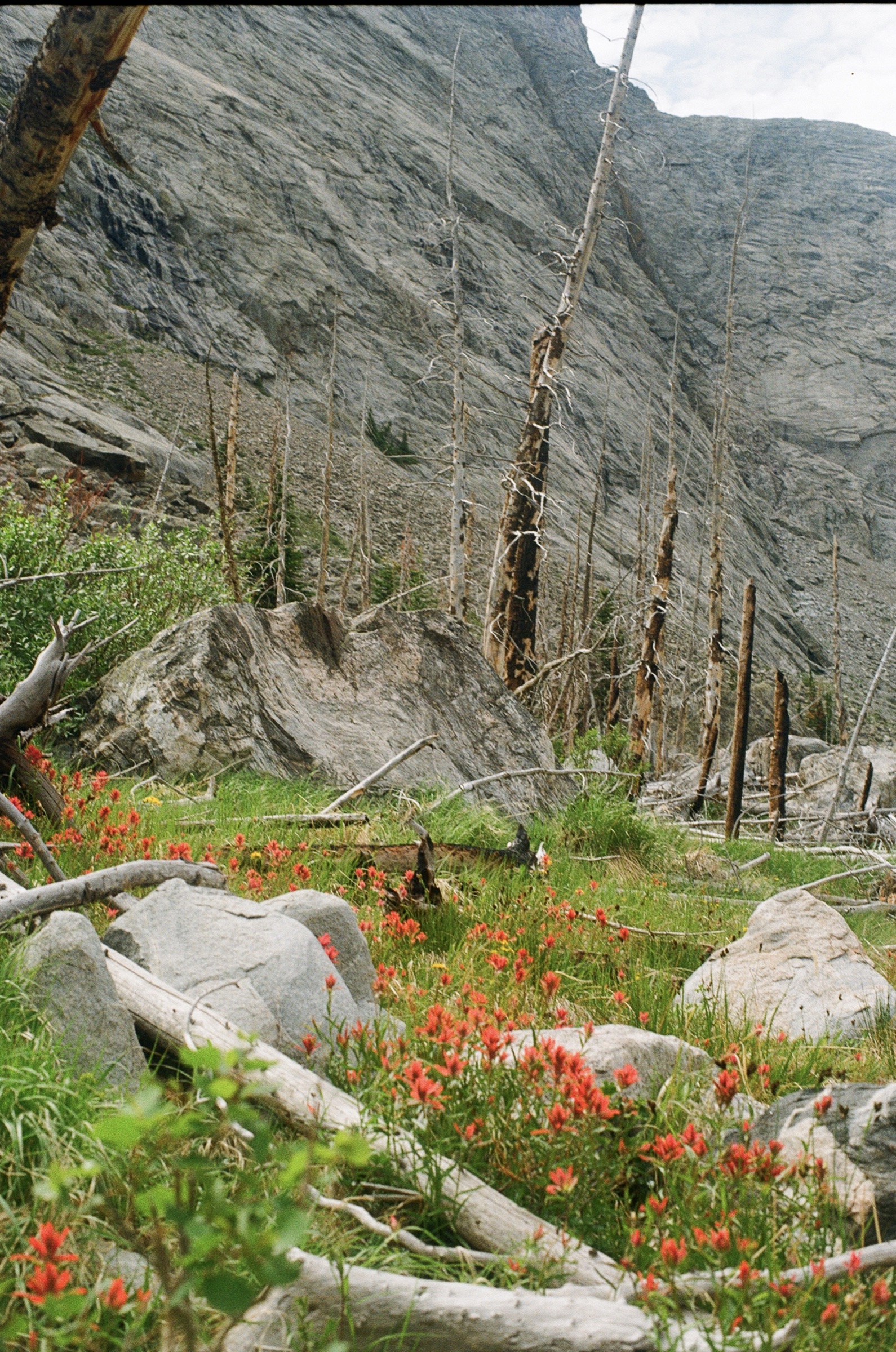Untitled photograph from Wyoming, June 2026