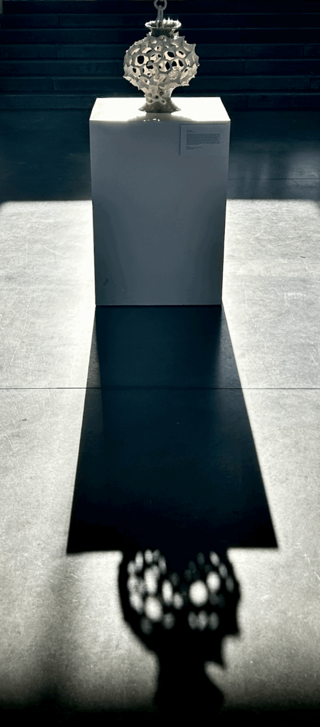 Pot installed with a long shadow, Fall 2024